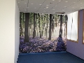 Photo from Level 5 Childrens Reception Area GDH project