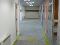 Photo from Playtex Factory Administration Building project